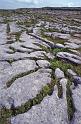 WT 2900 342-07 Ireland